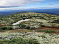Колвица на морских каяках (байдарках). Путешествие на землю Саамов