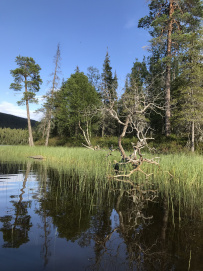 Колвица на морских каяках (байдарках). Путешествие на землю Саамов