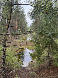 Пеший поход «В долину семи озёр»