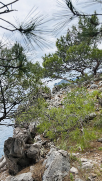 В Сердце Ликийской тропы (Поход вдоль моря, без рюкзаков)
