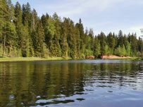 Сплав по реке Оредеж на пакрафтах