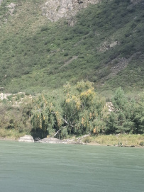 Сплав по реке Катунь