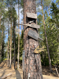 Сплав по реке Пистайоки (Писта)