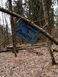 Однодневный пеший поход «Дорога в Лавру» (Ашукинская — Хотьково)