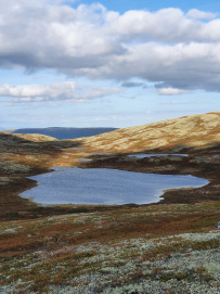 Колвица на морских каяках (байдарках). Путешествие на землю Саамов