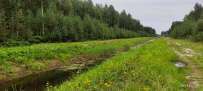 Велопоход из Покрова в Куровское