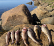 Соловецкие острова на морских каяках
