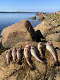 Соловецкие острова на морских каяках