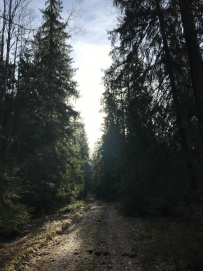 Ночь в Партизанской пещере (с пещерным кинотеатром)