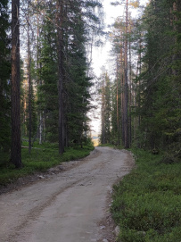 Крыша Карелии (национальный парк Паанаярви)