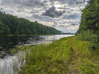 Сплав по реке Шуя