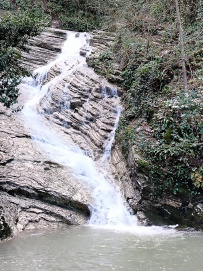 Новогодние каникулы в сочинских субтропиках: комфорт-программа