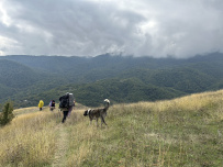 Заповедные места Дилижана: пеший поход по Армении