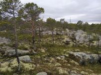 Сплав по реке Кереть и Белое море
