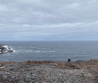 Арктические выходные-2: в погоне за китами