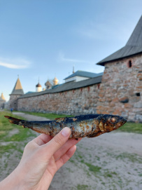 Соловецкие Острова в Белом Море (экскурсии + поход)
