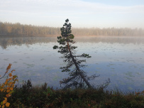 Аметистовый берег Белого моря