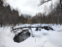Снежная дорога в Лавру