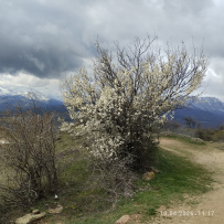 Фототур — лучшее в Крыму. Всё и сразу