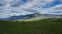 Лучшее на Алтае за 10 дней