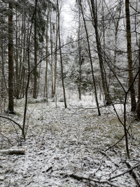 Пеший экстрим-поход «Лесной Хардкор»