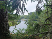 Карельский велопоход: Ладожское озеро, реки, скалы, водопады