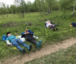 Сотка за сутки