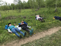 Сотка за сутки