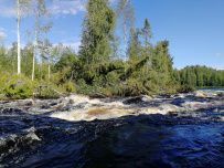 Сплав по реке Янисйоки