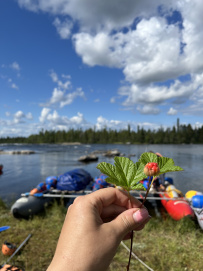 Сплав по реке Умба