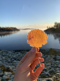 Тур Ладожские шхеры на каяках