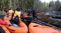 Сплав по реке Поля «Cквозь лес на байдарках»