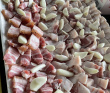 Ладога на каяках длинный поход (4-9 дней)