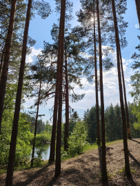 Сплав по реке Пра: через самое сердце Мещеры