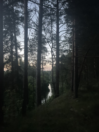 Сплав по реке Киржач на байдарках с баней на берегу