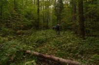 Однодневный пеший поход «Гремячий ключ» (Подмосковье)