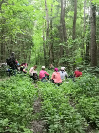 Однодневный пеший поход «Гремячий ключ» (Подмосковье)