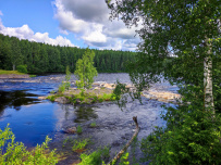 Сплав по реке Шуя