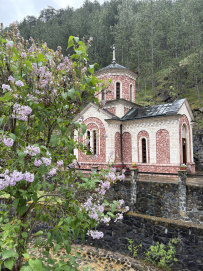 Великий горный край: природа западной Сербии (треккинг-тур в национальный парк Тара)