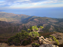 Алустон комфорт-тур