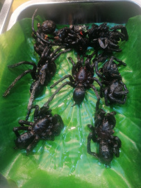 Очарование Юньнани