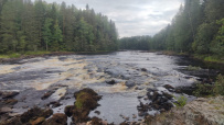 Сплав по реке Шуя