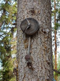 Сплав по рекам Кутсайоки и Тумча