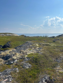Белое море на морских каяках (байдарках): Карельский берег