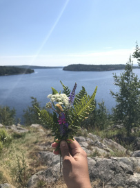 По шхерам Ладоги на байдарках (с трансфером)