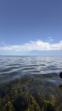 Соловецкие острова на морских каяках