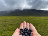 Сердце Камчатки – Природный парк Ключевской