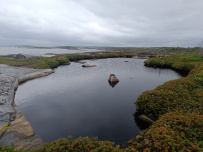 Белое море на морских каяках (байдарках): Карельский берег