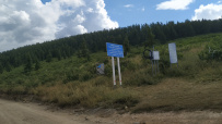 Всё и сразу на Алтае
