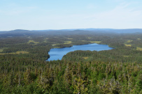 Крыша Карелии (национальный парк Паанаярви)